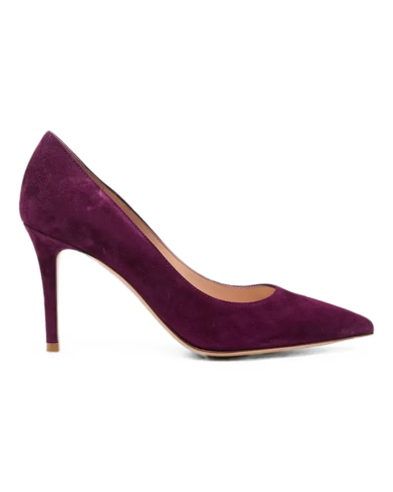 Gianvito Rossi Pumps mit spitzer Kappe - Violett Violett