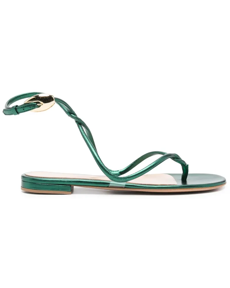 Gianvito Rossi Flache Black Mamba Sandalen - Grün Grün
