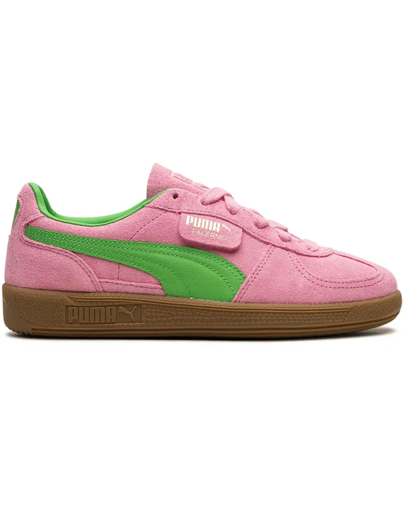 Puma Palermo Special Rosa/Green Sneakers Rosa
