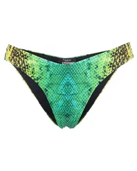 Noire Swimwear Bikinihöschen mit Schlangen-Effekt Grün