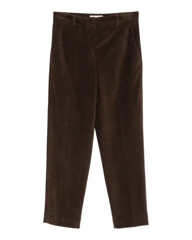 CIRCOLO 1901 Straight-Leg-Hose aus Cord - Braun Braun