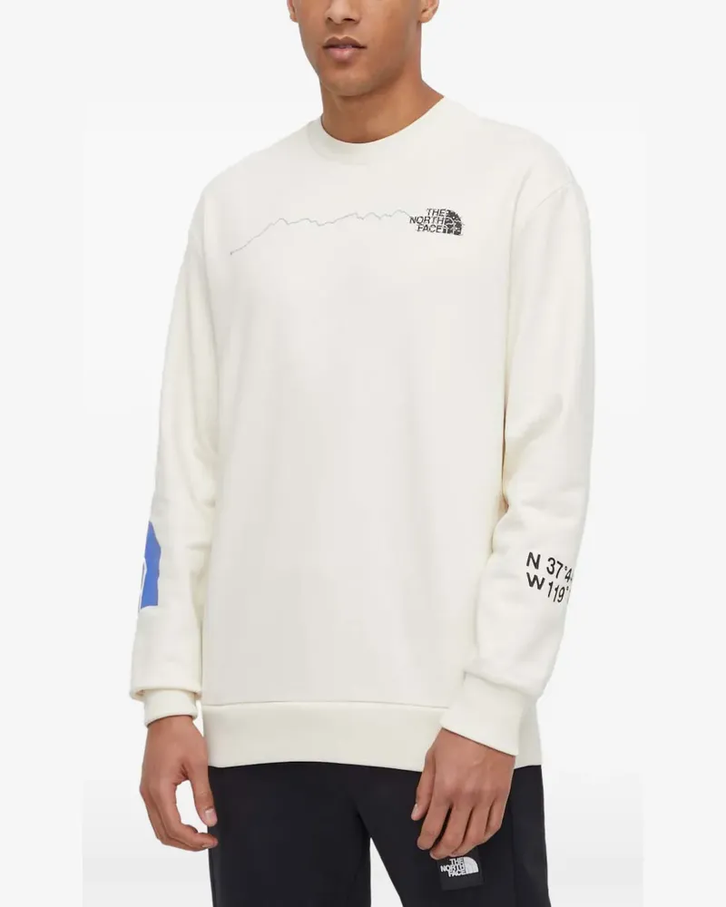 The North Face Pullover mit Logo-Print - Nude Nude