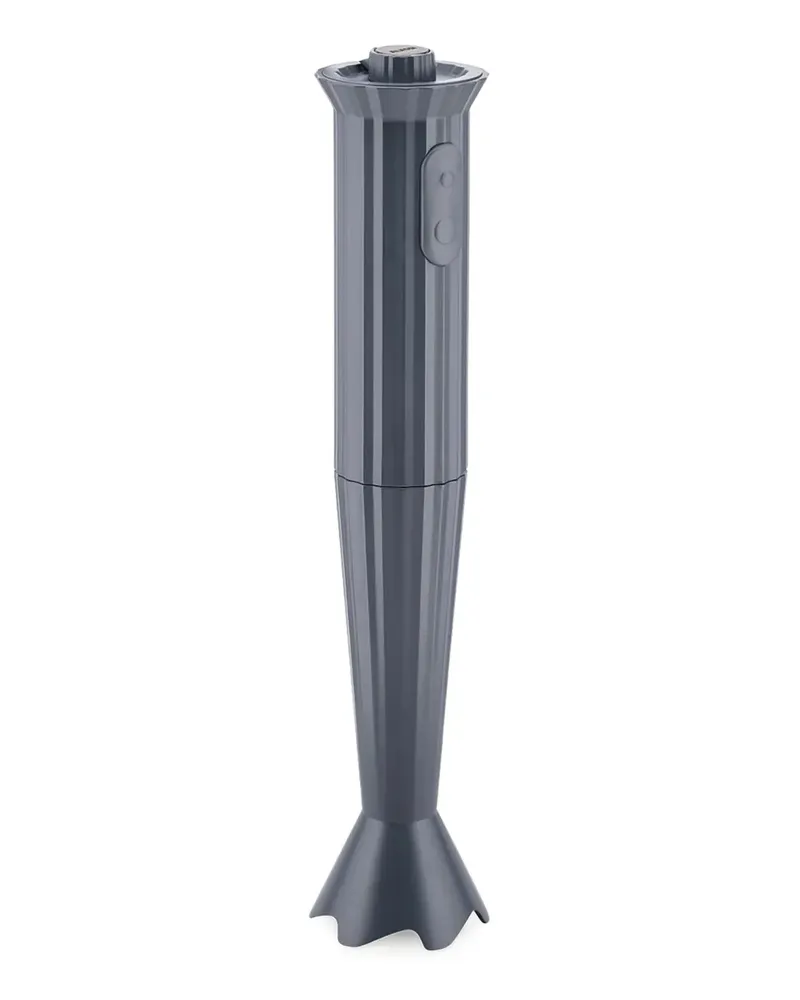 Alessi Gerippter Stabmixer - Grau Grau