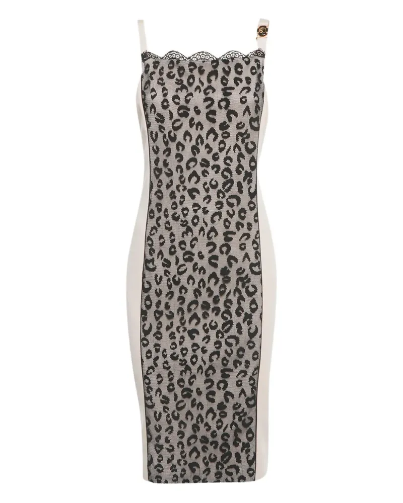 Roberto Cavalli leopard-print mesh midi dress - Rosa Rosa