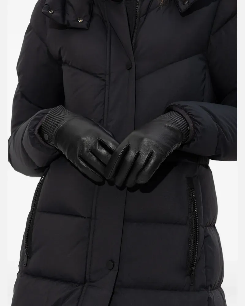 gazelle hollandräder Gazelle G-Touren Damen Hollandrad 28 Zoll 5-Gang Rücktritt kaufen – Der  Holländer Fahrradgeschäft main image 0