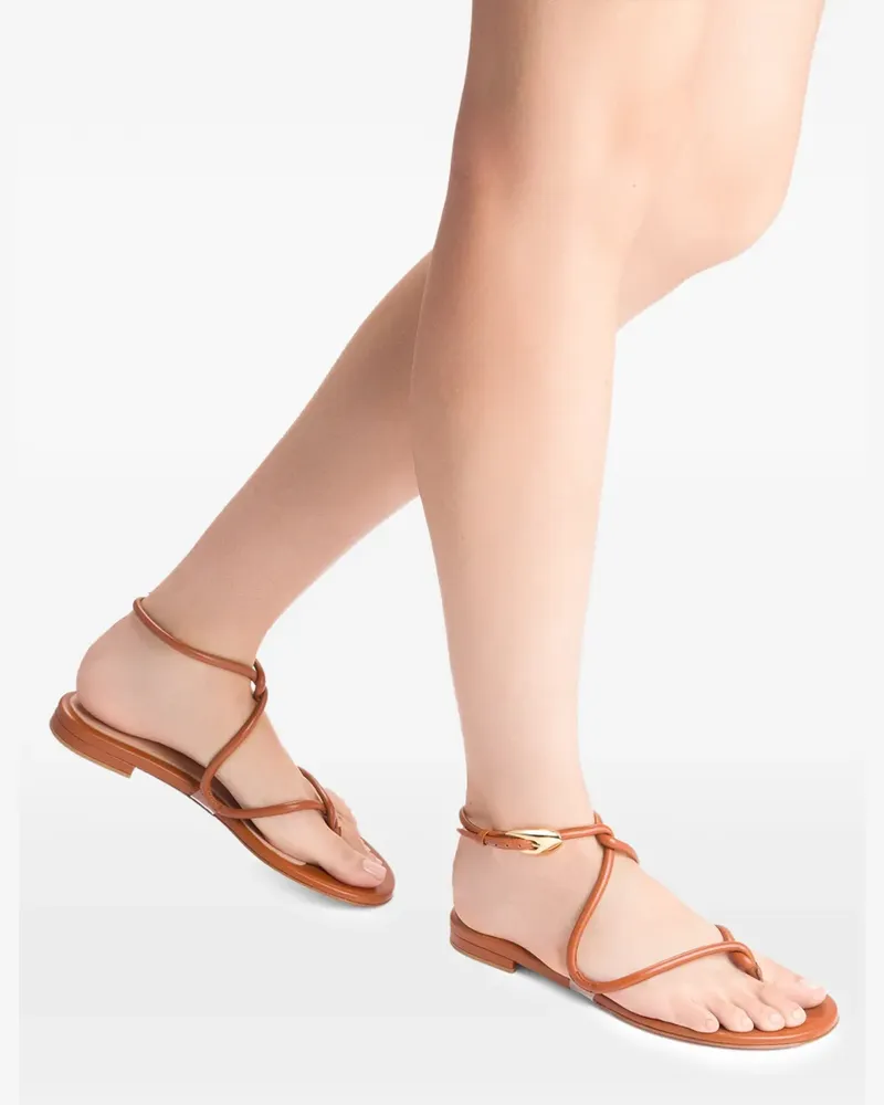 Gianvito Rossi Jungle Mamba flat sandals - Braun Braun