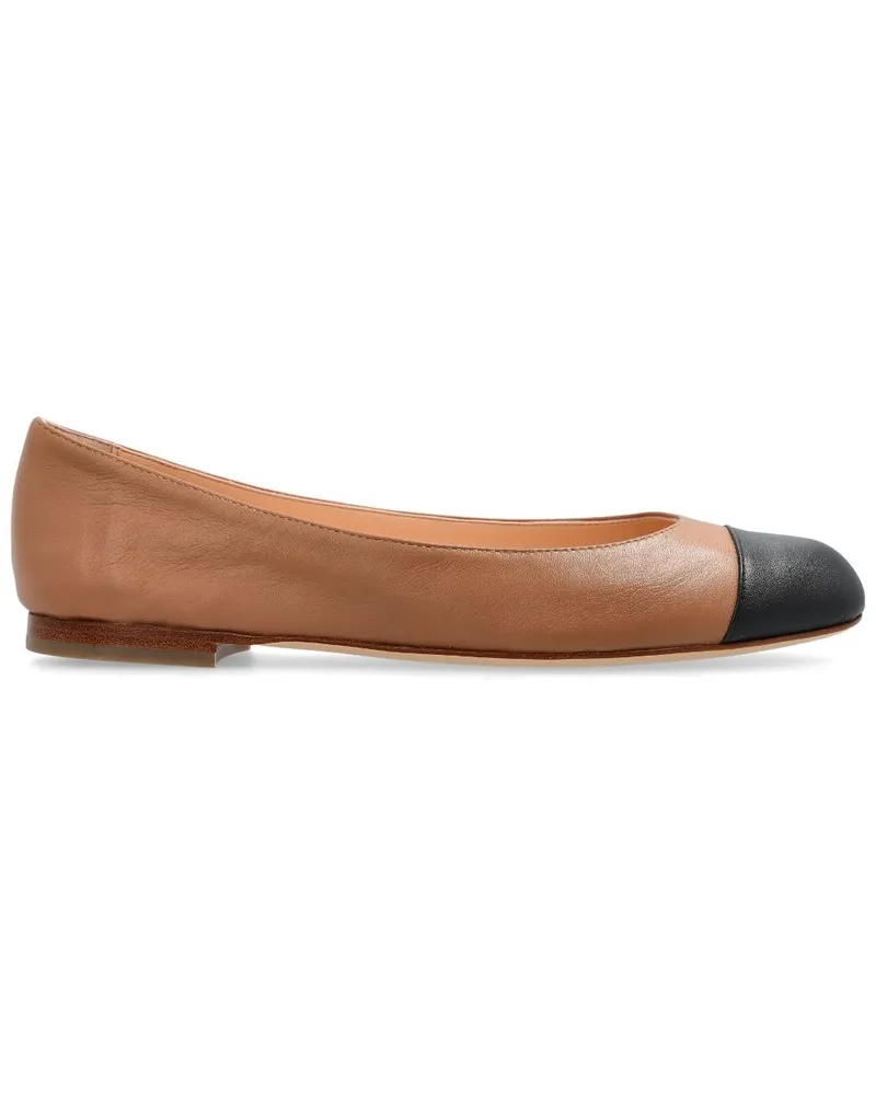 Attilio Giusti Leombruni Milly Ballerinas - Braun Braun