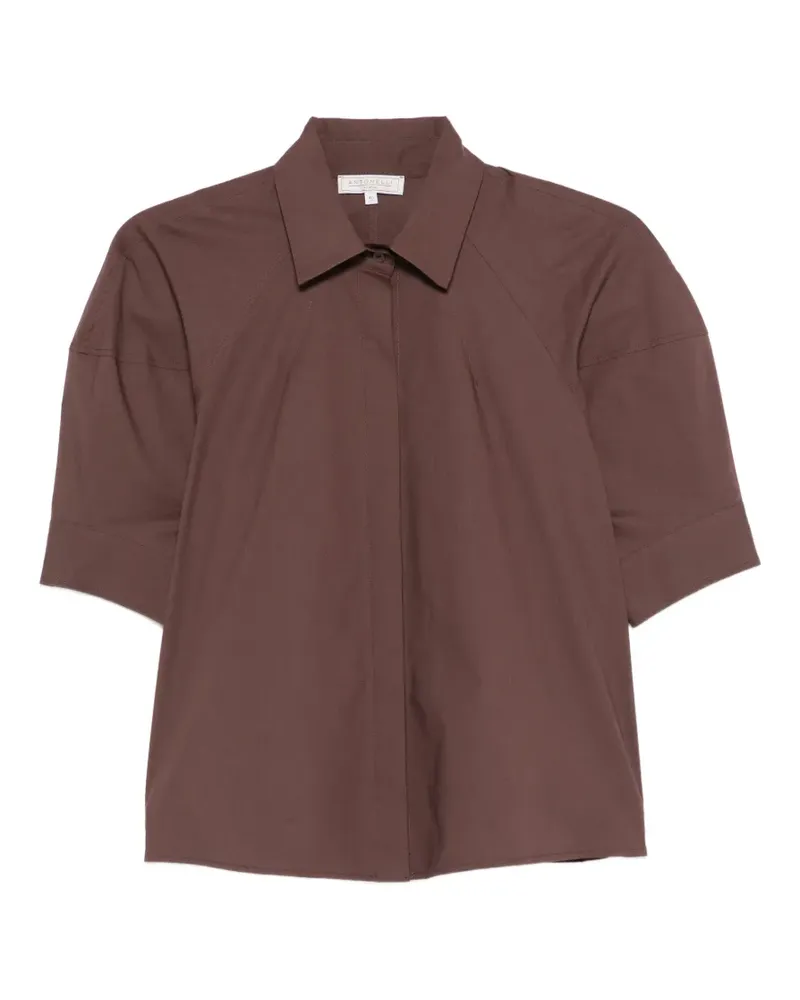 Antonelli Firenze point-collar shirt - Braun Braun
