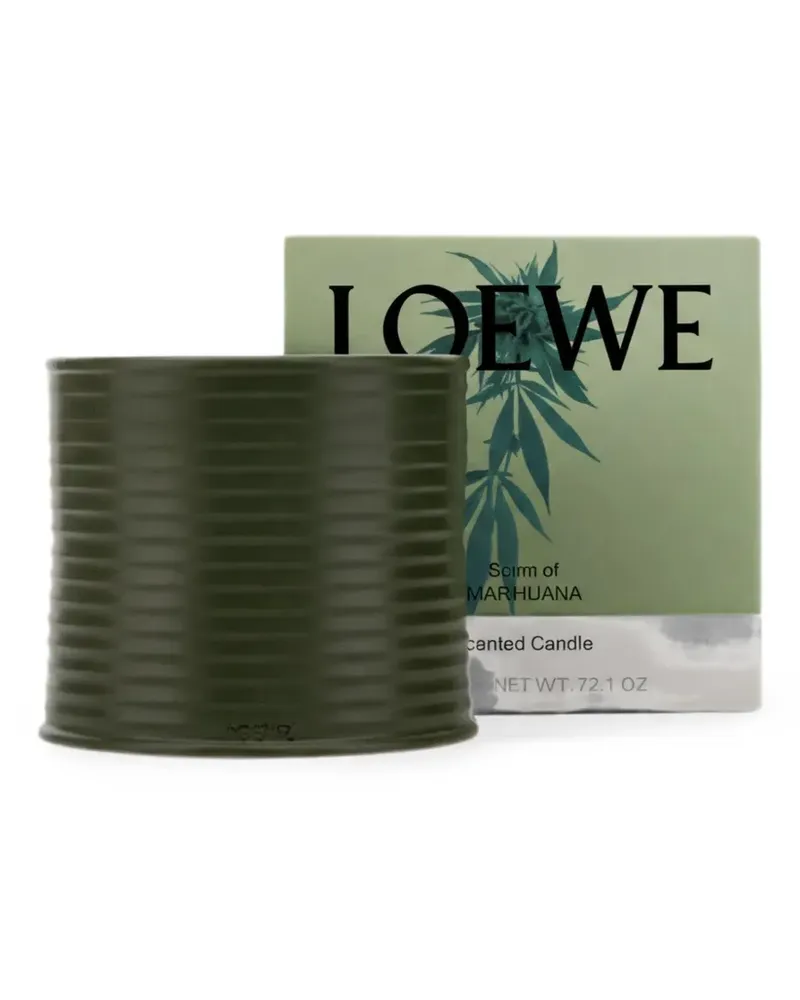 Loewe ribbed-effect scented candle - Grün Grün