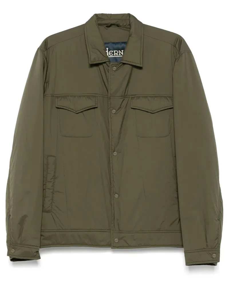 Herno Gefütterte Jacke - Grün Grün