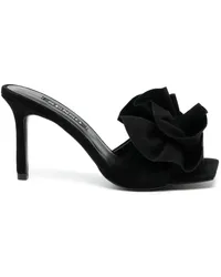 SENSO Harlow Mules 100mm Schwarz