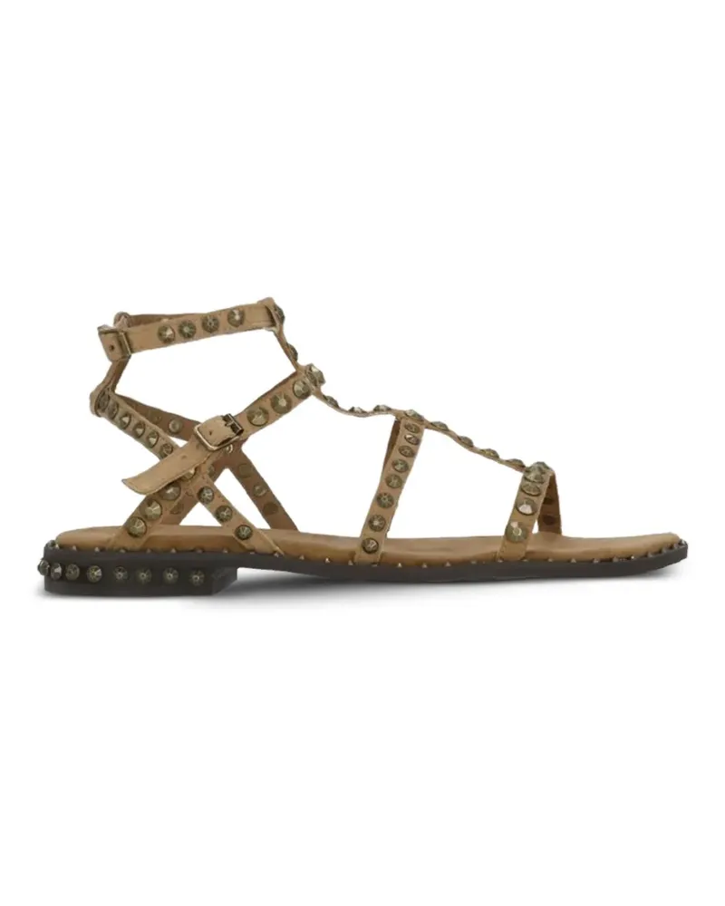 ash Precious sandals - Braun Braun