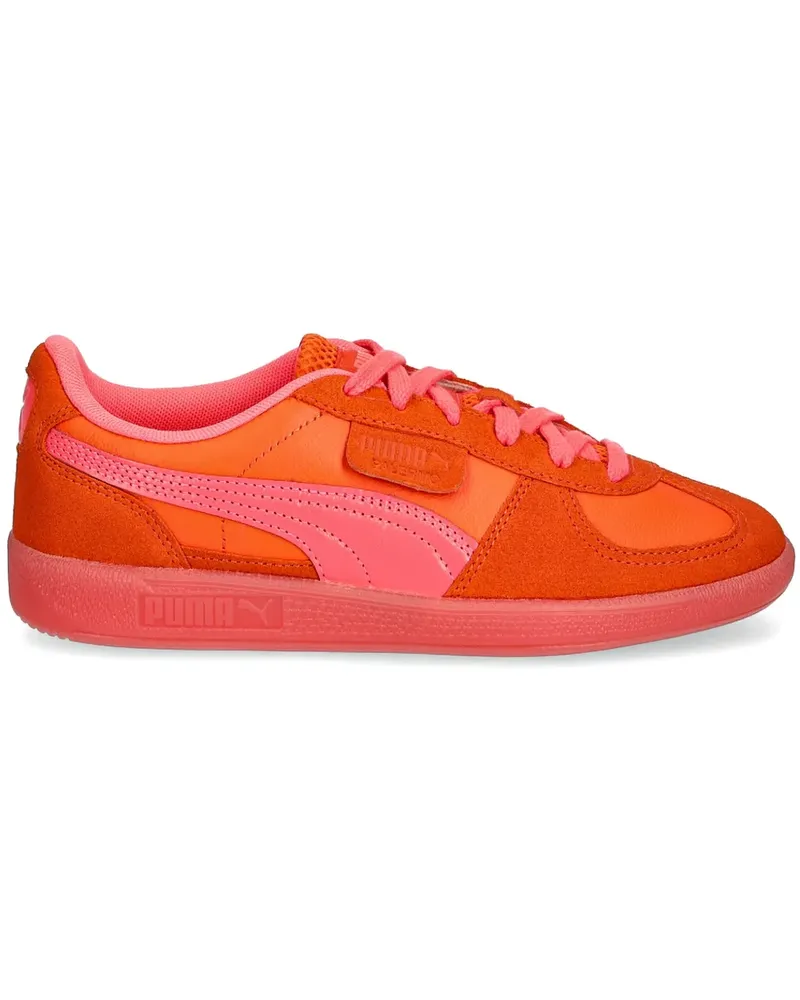 Puma Citrus Sneakers - Orange Orange