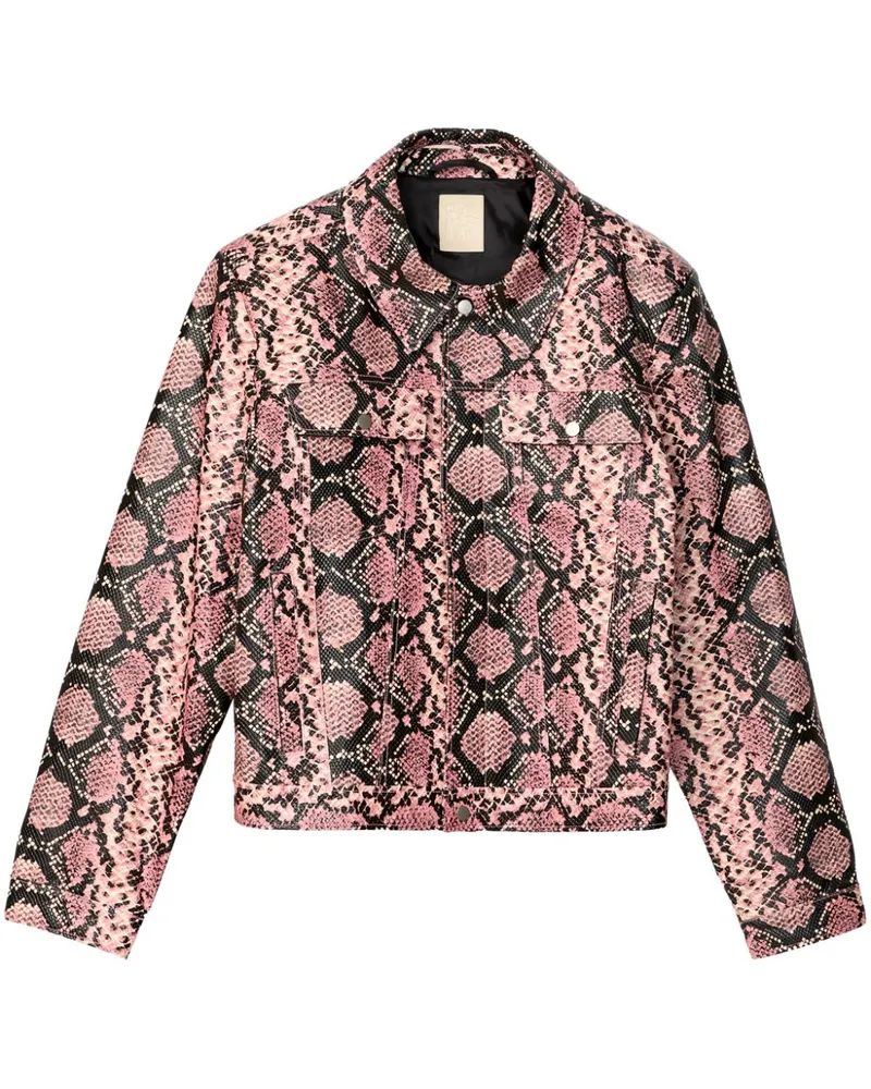 Camper Jacke aus Leder - Rosa Rosa