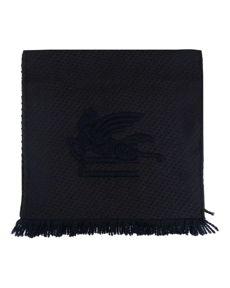 Etro Schal mit Logo-Stickerei - Blau Blau