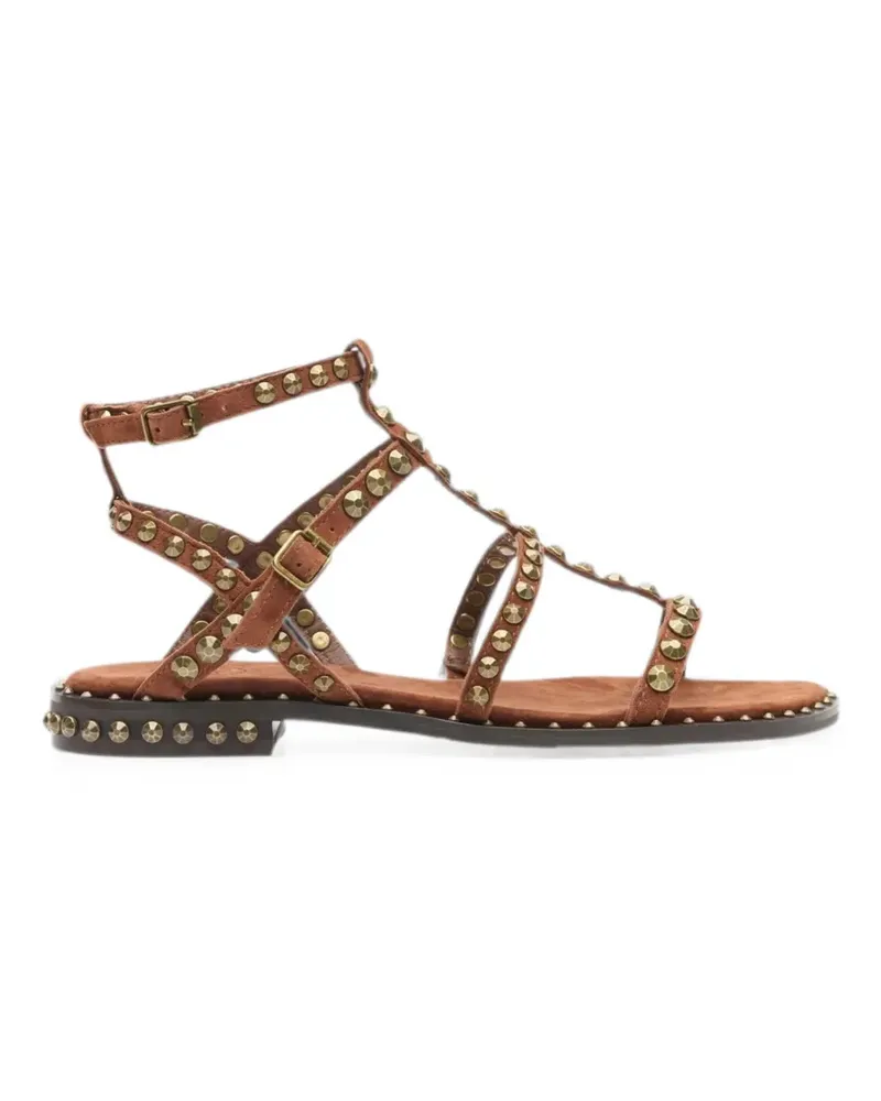 ash Sandalen mit Nieten - Braun Braun