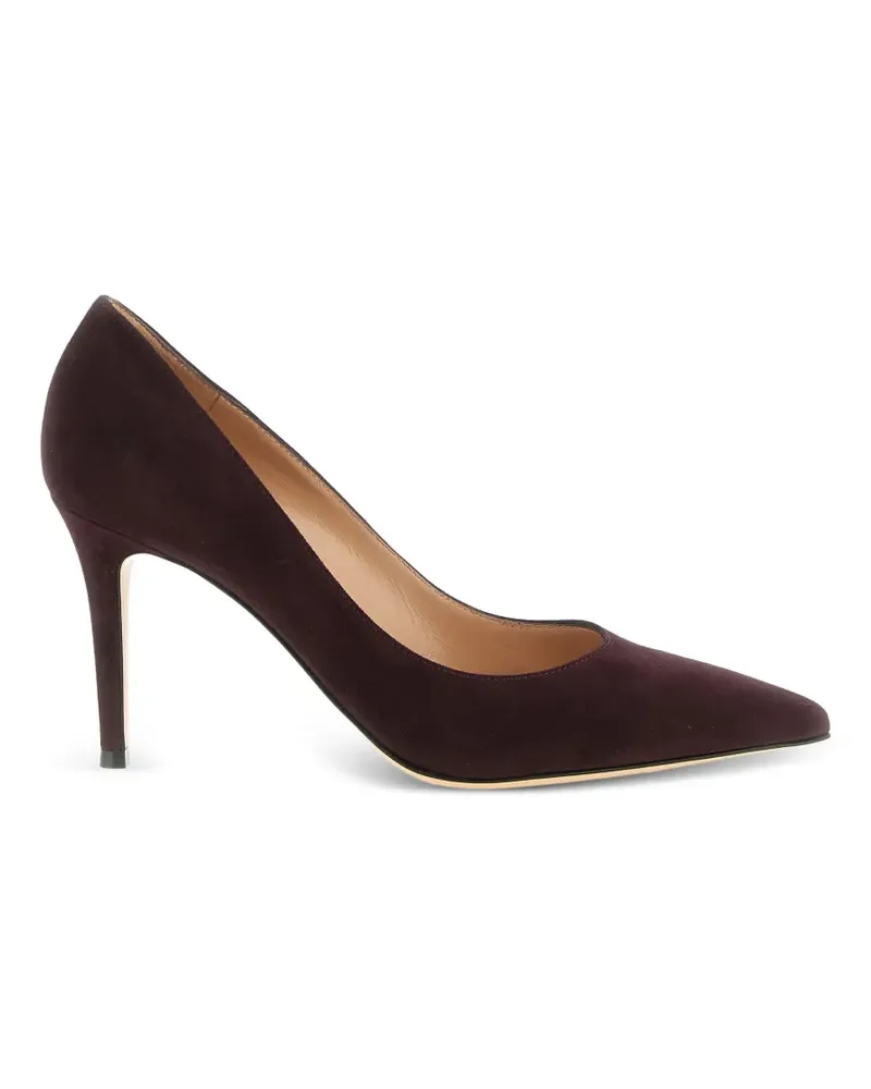 Gianvito Rossi Gianvito Pumps - Violett Violett