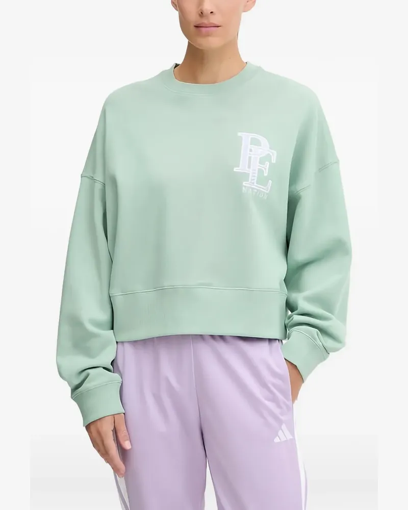 P.E. NATION Summit Sweat embroidered-logo sweatshirt - Grün Grün