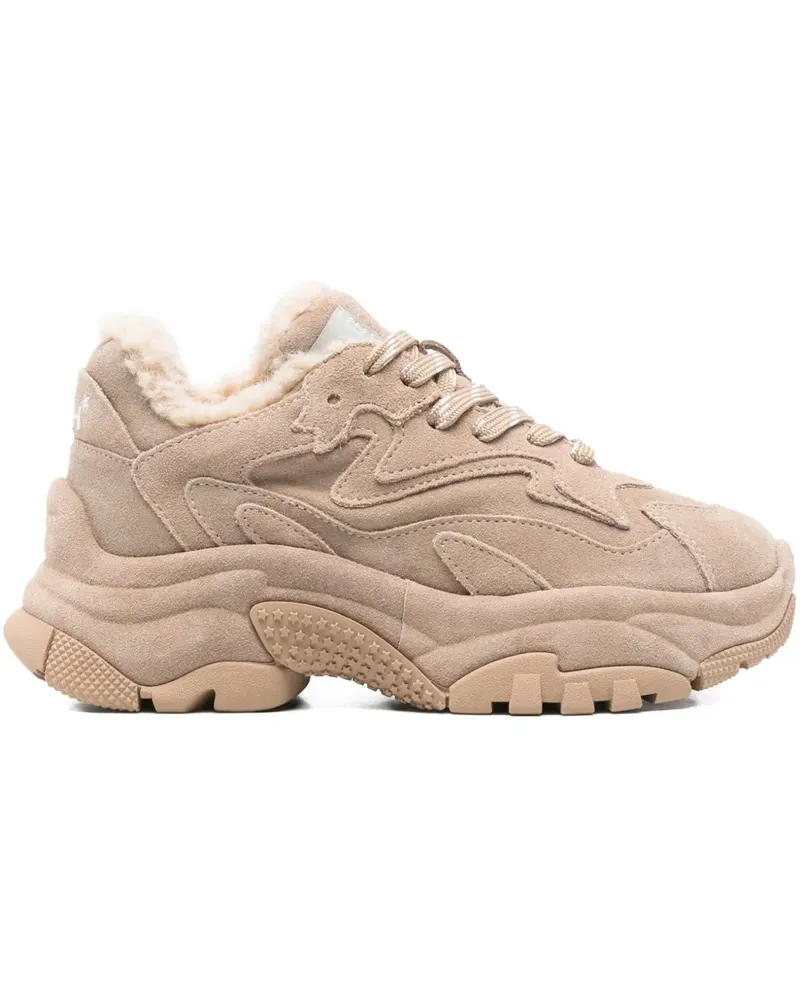 ash Addict Sneakers mit Einsätzen - Braun Braun