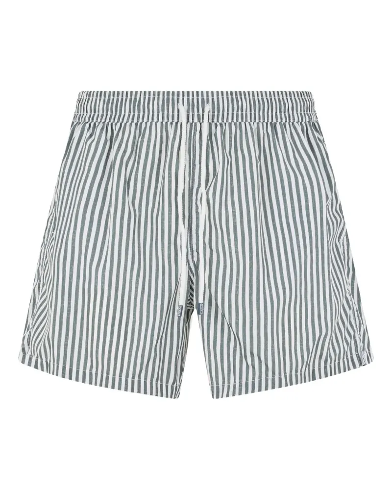 Fedeli striped drawstring swim shorts - Grün Grün