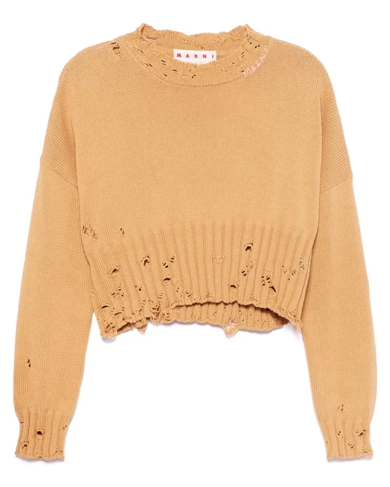 Marni Cropped-Pullover - Braun Braun