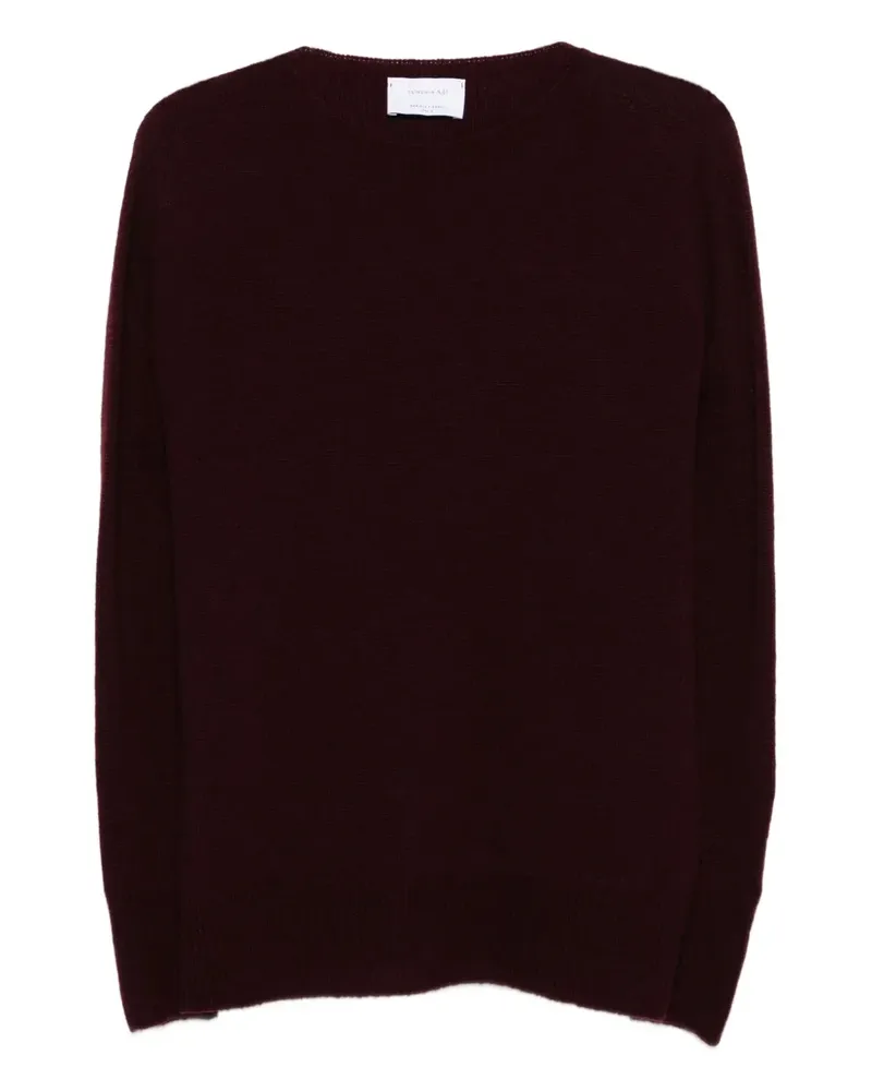 Daniele Fiesoli Rundhals-Pullover aus Merino-Kaschmirgemisch - Rot Rot