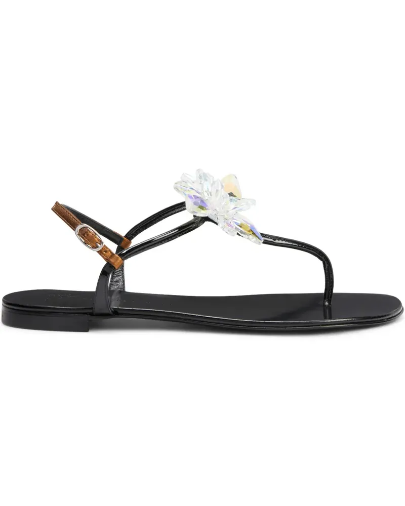 Giuseppe Zanotti Letizia Sandalen - Schwarz Schwarz