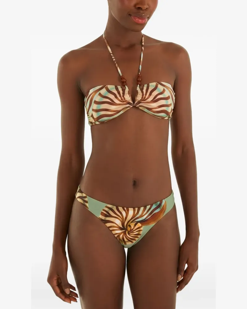 FARM Rio Bikinishorts mit Nautilus-Print - Grün Grün