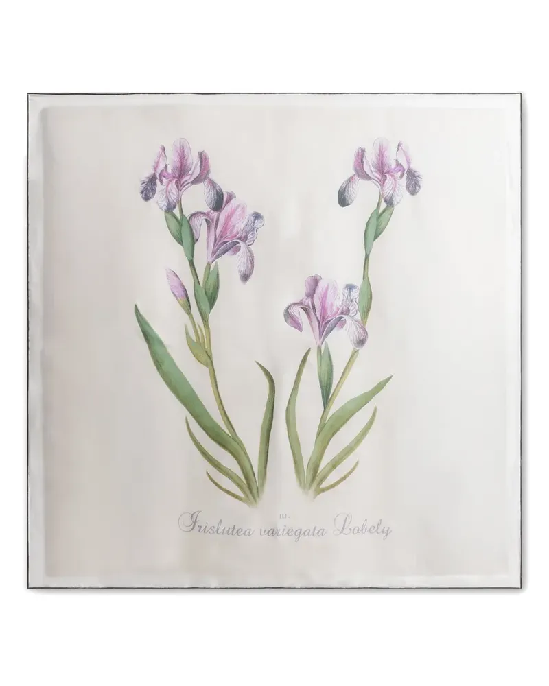 Alberta Ferretti Schal mit Blumenmuster - Nude Nude