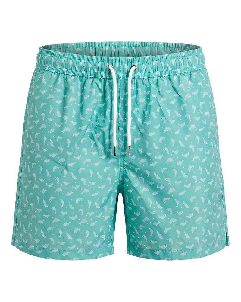 Fedeli Madeira Badeshorts mit Delfin-Print - Grün Grün
