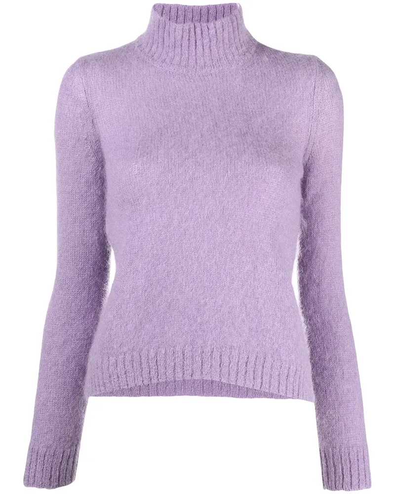 Alberta Ferretti Pullover mit Stehkragen - Violett Violett