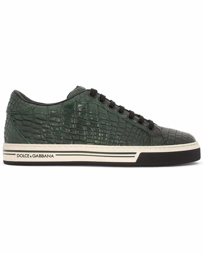 Dolce & Gabbana Sneakers mit Kroko-Optik - Grün Grün
