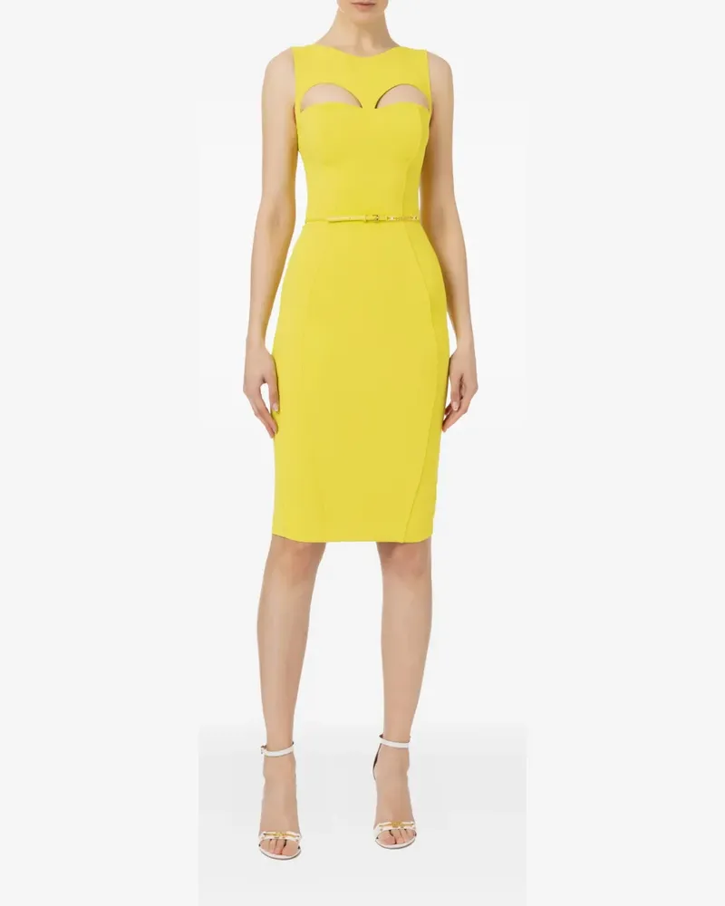 Elisabetta Franchi Midikleid mit Gürtel - Gelb Gelb