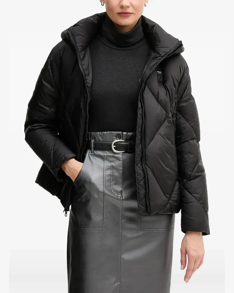 Blauer hooded quilted jacket - Schwarz Schwarz