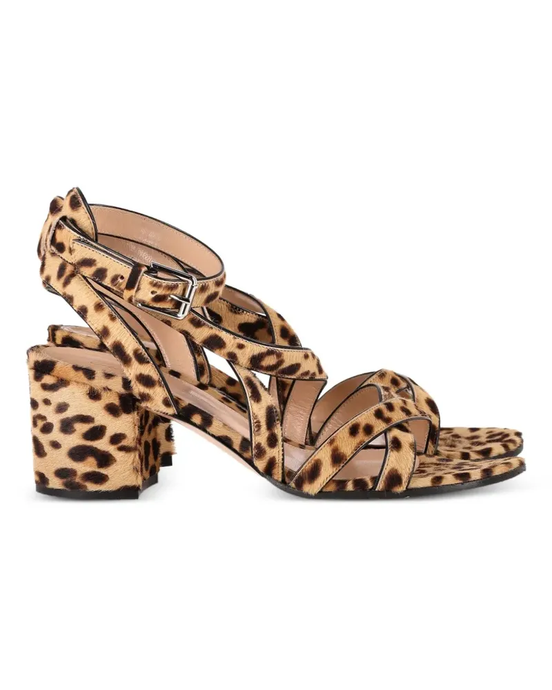 Gianvito Rossi Sandalen mit Leoparden-Print - Braun Braun
