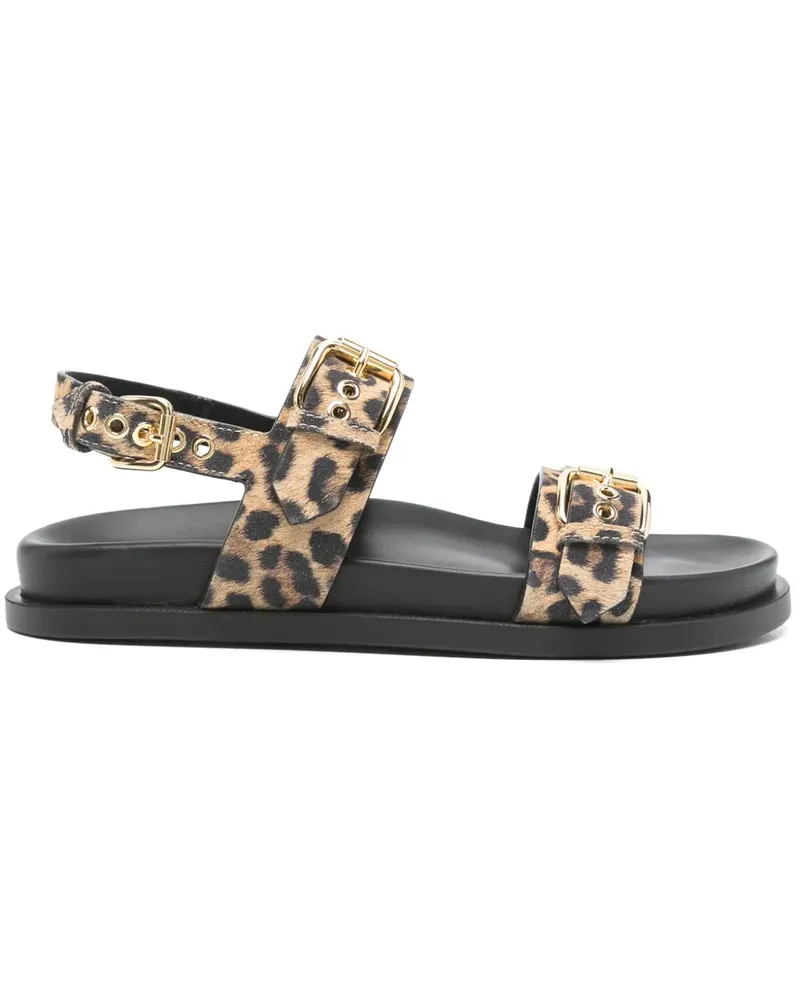 Attilio Giusti Leombruni Cristina Sandalen - Schwarz Schwarz
