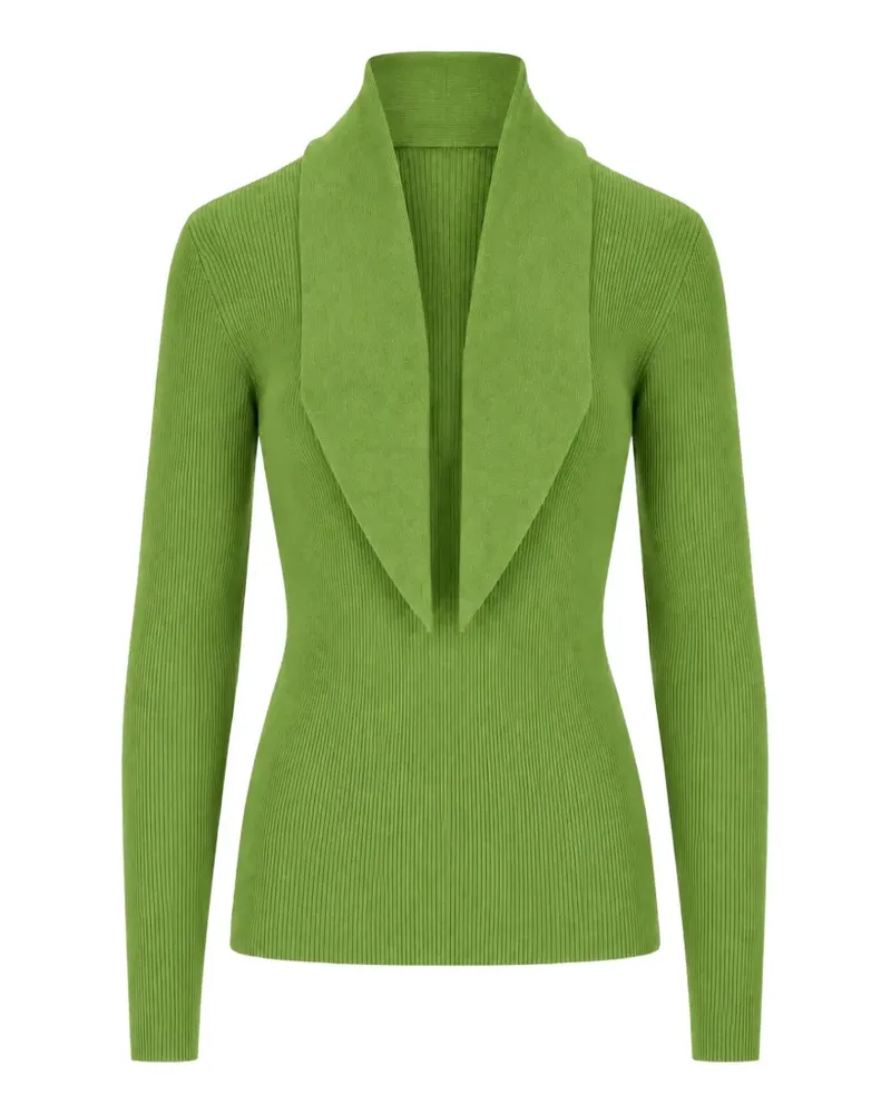 P.A.R.O.S.H. P.A.R.O H. Gerippter Pullover mit Schalkragen - Grün Grün