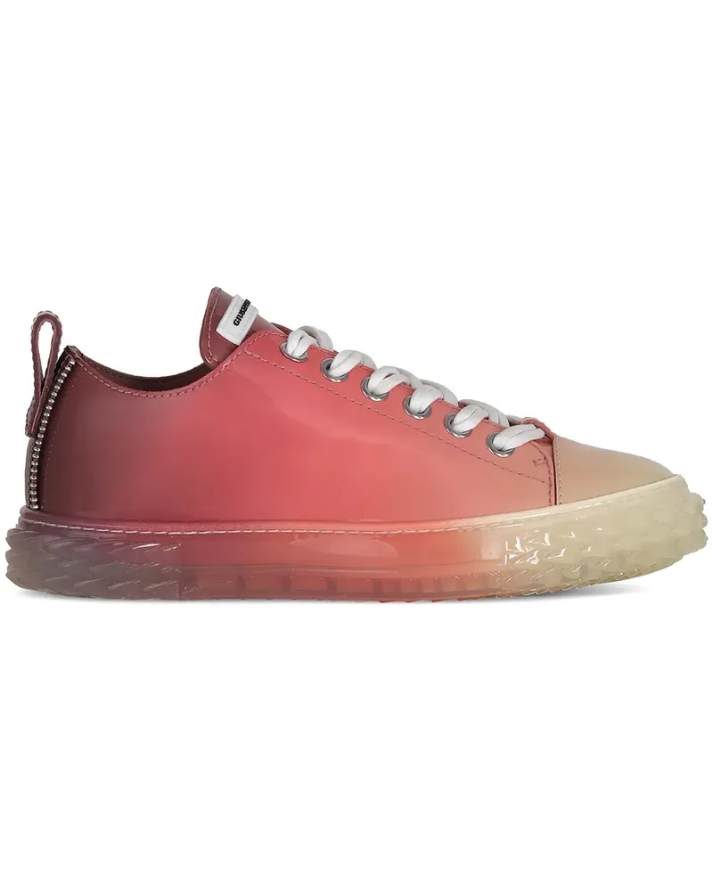Giuseppe Zanotti Blabber Sneakers - Rosa Rosa