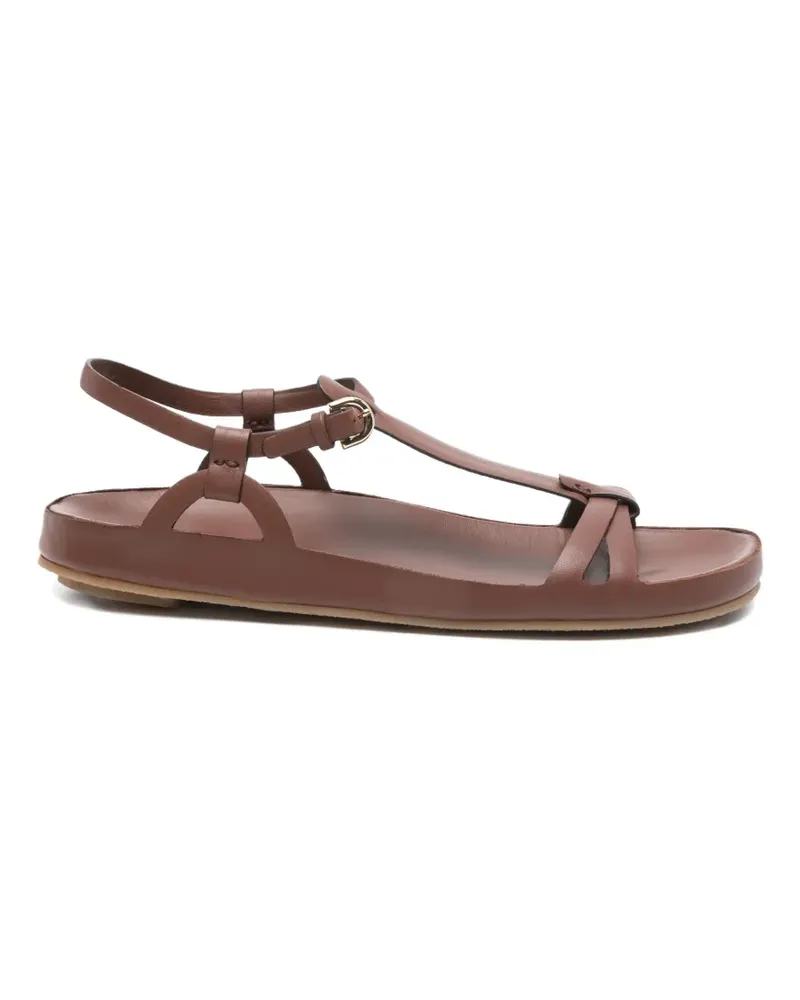 Roberto del Carlo Zeus buckle-strap sandals - Braun Braun