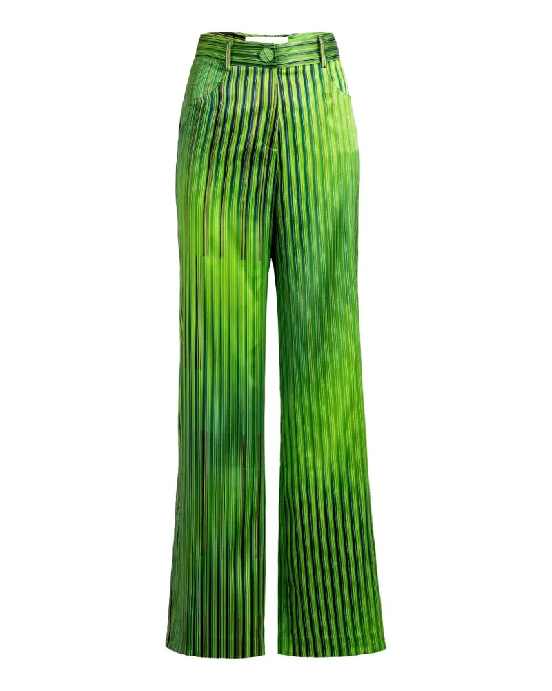 Silvia Tcherassi Emine striped palazzo trousers - Grün Grün
