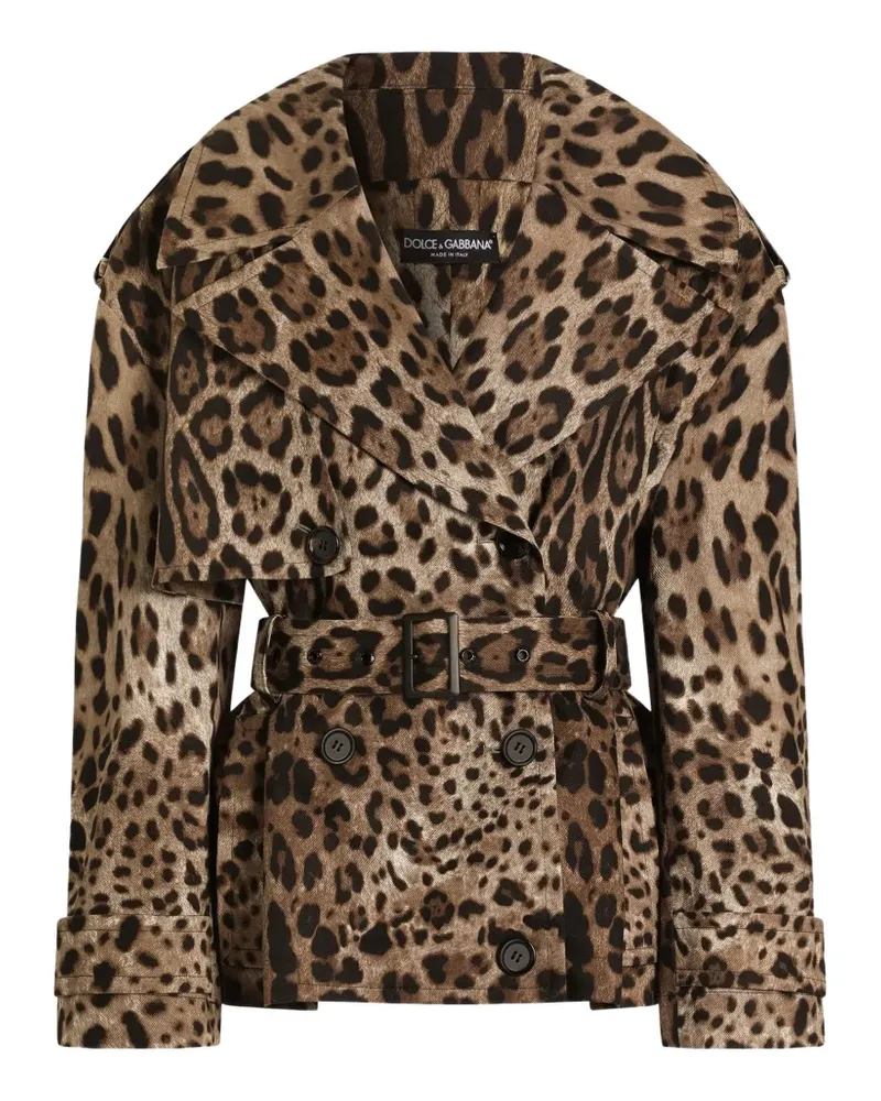 Dolce & Gabbana leo-print cotton drill jacket - Nude Nude