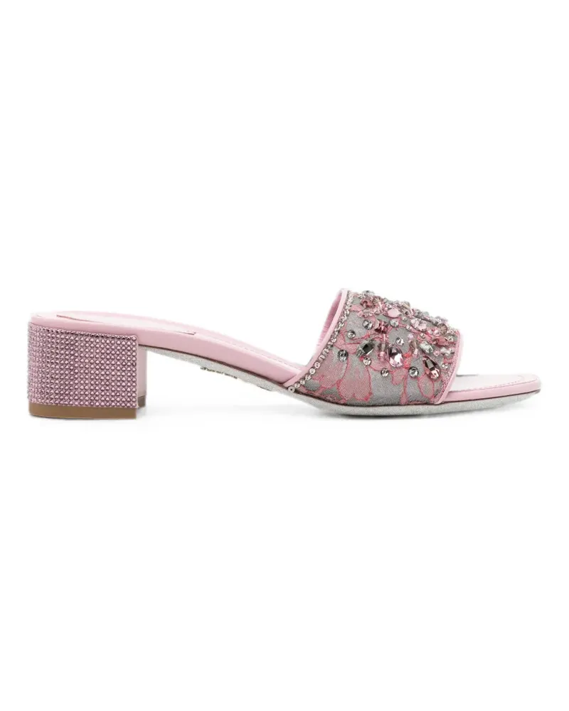 René Caovilla Christy crystal-embellished lace sandals - Rosa Rosa