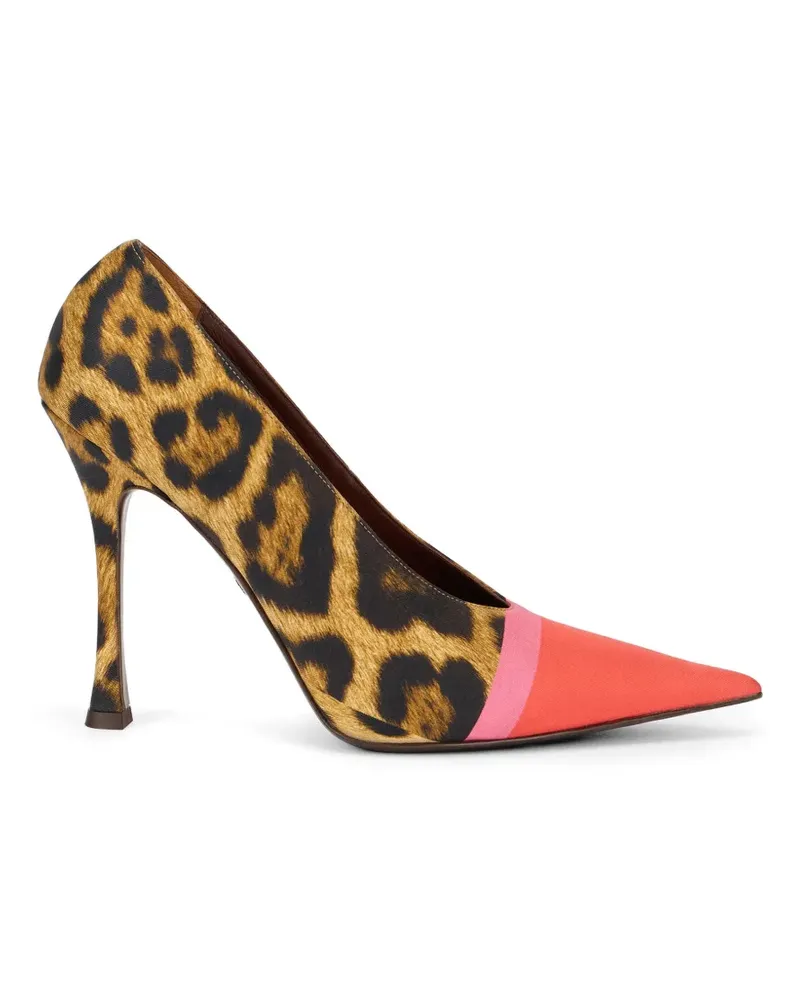 Roberto Cavalli animal-print pointed-toe pumps - Braun Braun