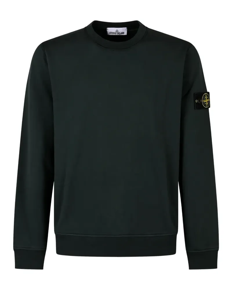 Stone Island 6100060 organic cotton fleece sweatshit - Grün Grün