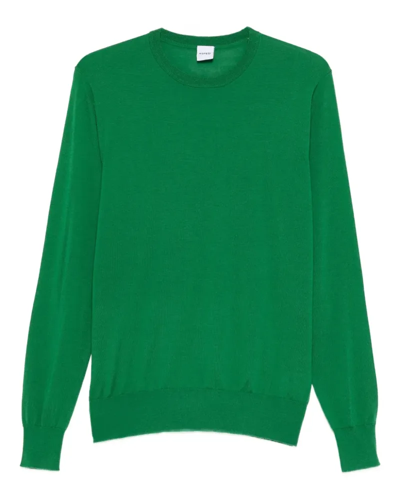 ASPESI Pullover mit Rundhalsausschnitt - Grün Grün