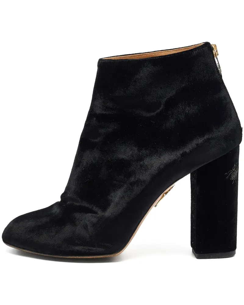 Charlotte Olympia Stiefel aus Samt 105mm - Schwarz Schwarz