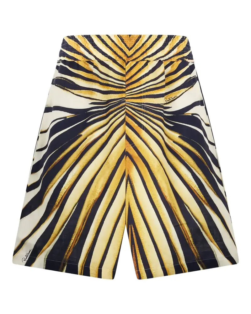Roberto Cavalli Shorts mit Ray of Gold-Print - Nude Nude