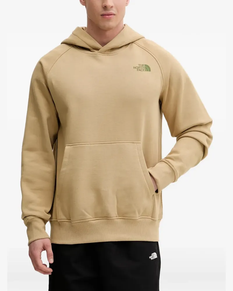 The North Face Raglan NSE Hoodie - Nude Nude