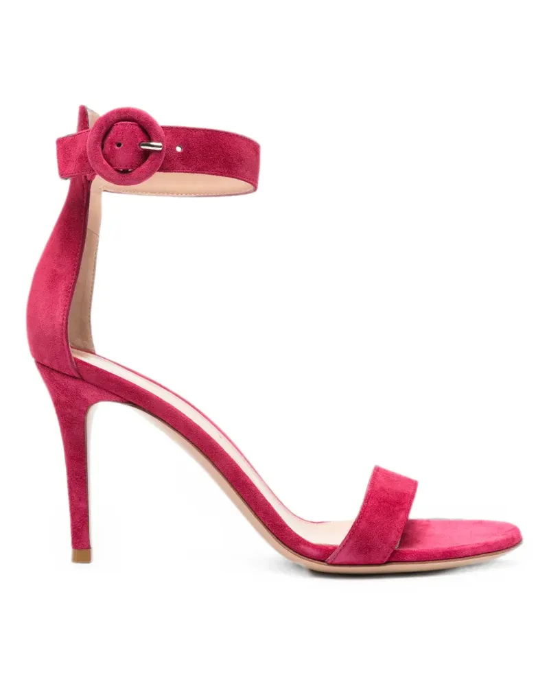 Gianvito Rossi Sandalen mit Schnallenverschluss - Rosa Rosa