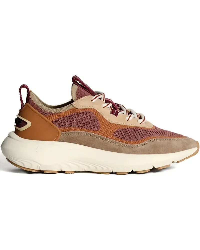 HOFF panelled sneakers - Braun Braun